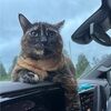 pierremirand239